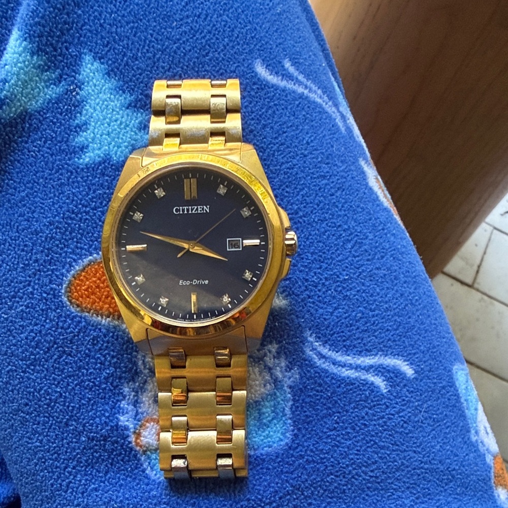 Citizen Eco-Drive Gold and Black Watch